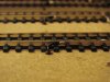 DSC03045.jpg