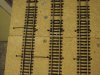 DSC03049.jpg