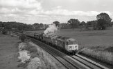 50025, D1023 and GWR 4555.jpg 50025, D1023 and GWR 4555.jpg