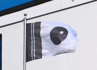 Mystery flag.png