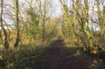 OLD SINGLE TRTACK RAILWAY - WATERHALL.jpeg