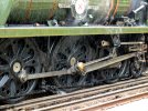 DSCF8271.JPG