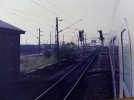 IMG_20210703_164210.jpg