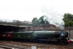 DSCF8318.JPG