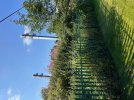 Spring tensioners on masts behind the Pollokshaws Bowling Club.jpg