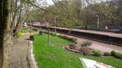 Hindley Platform Garden looking East.jpg