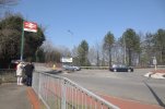 COGAN - CROSSING MAIN ROAD.jpeg