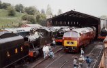 D1062 D1013.jpg