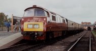 D1062.jpg