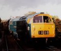 D1013.jpg