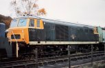 D7029.jpg