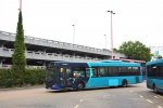 DSC_7339.JPG