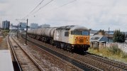 56060.jpg