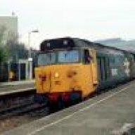 50047