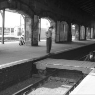 yorkguy