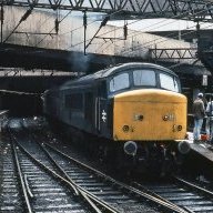 46026