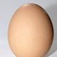 egg426