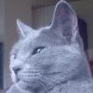 moggie