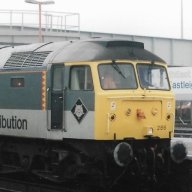 47286Dan