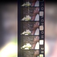 cineandy