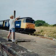 MST1981