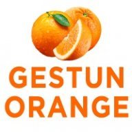 GESTUN ORANGE