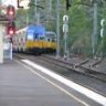 NSWGR