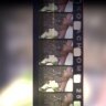 cineandy