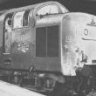 deltic55011