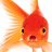 TheGoldfish