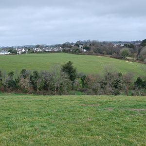 Tavistock Reopening