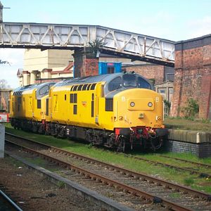 97302 at shresbury