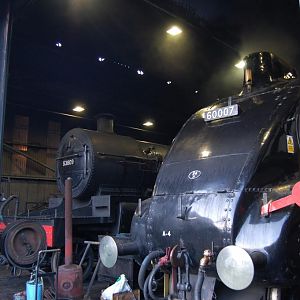 DSC 0133