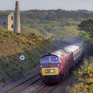 2010 May 15 - D1009 Western Invader on 1Z45 charter 'East Lancashire Champion, heading up @ Scorrier, Cornwall