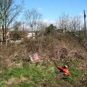 2006, North end of garden before clearance started.