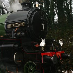 Mayflower