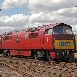 D1015 tyseley open day june 2011