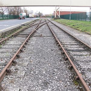 Camera Uploads 087