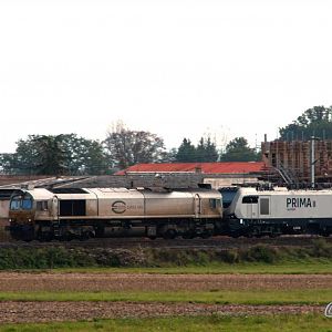 north of Strasbourg in Elsass class66 + Alstom Prima 2