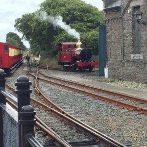NO. 12 hutchingson steam railway