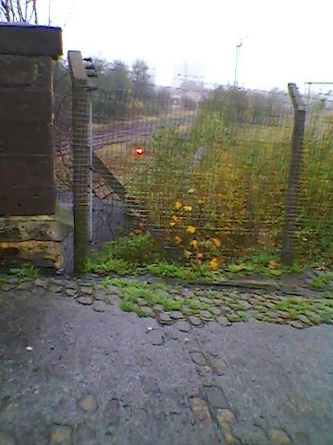 For some reason, a shunting signal is still intact by the disused sidings!