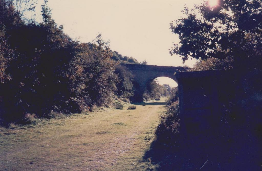The old Crowhurst - Bexhill West branch, this was taken well over 20 years ago. Some of this line will soon disappear under a new link road between Be