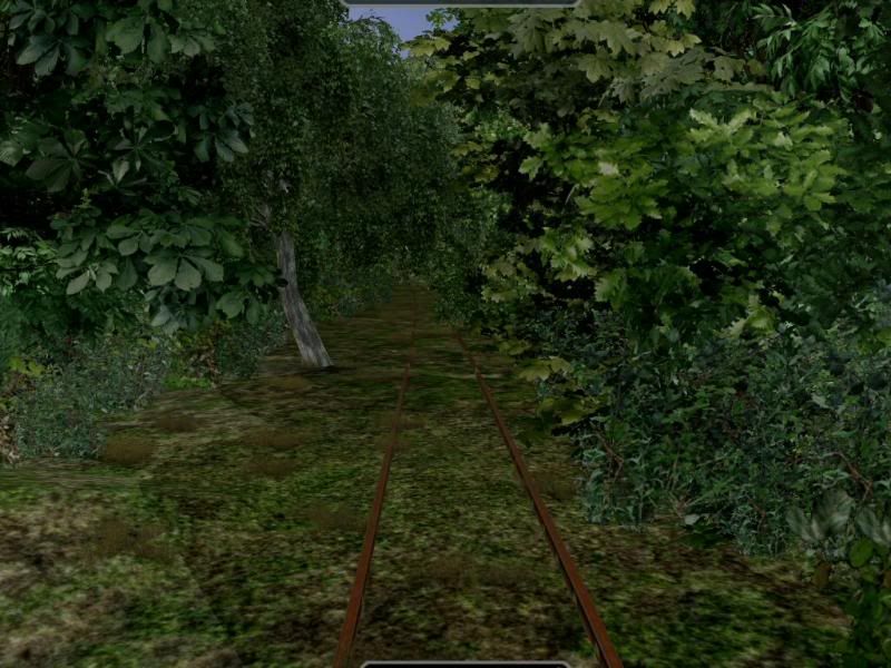 w16.jpg