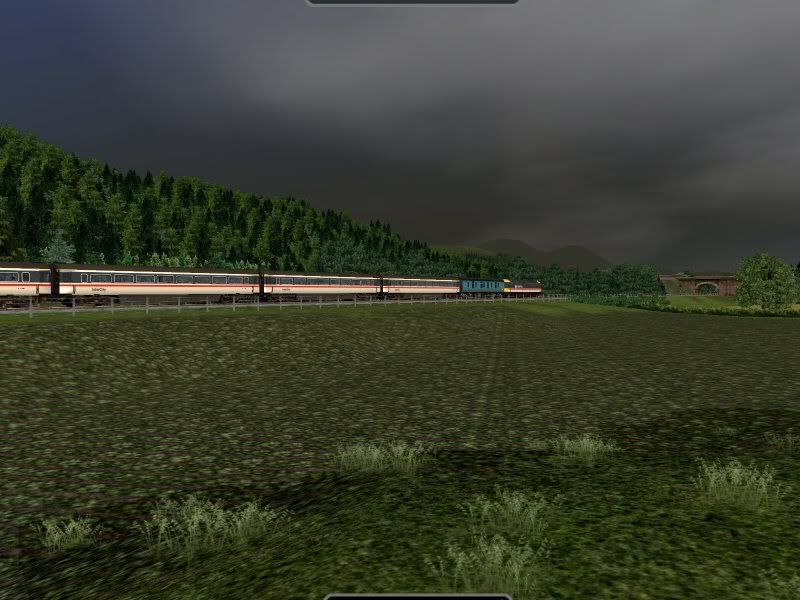 T9.jpg
