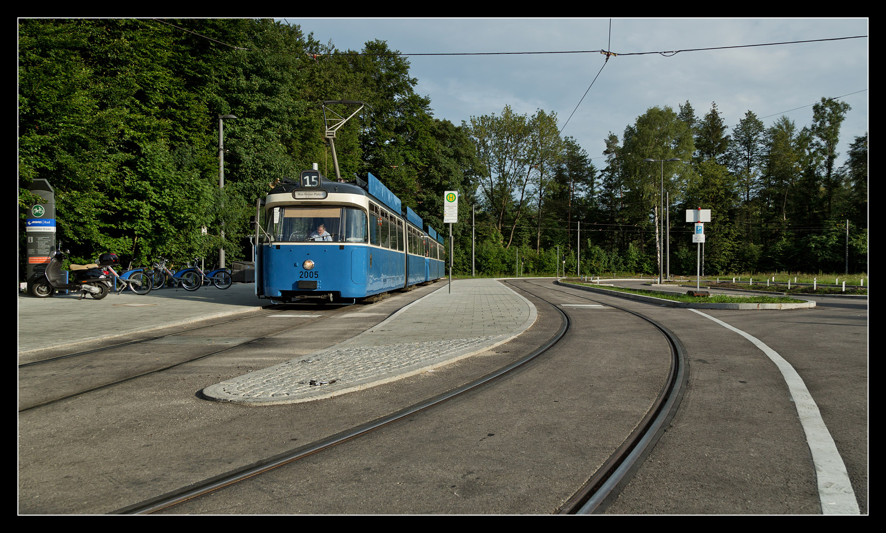 voralp316.jpg