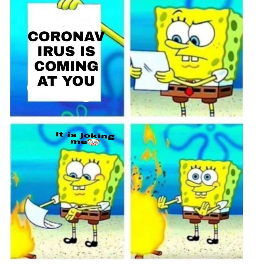 38913573.jpg