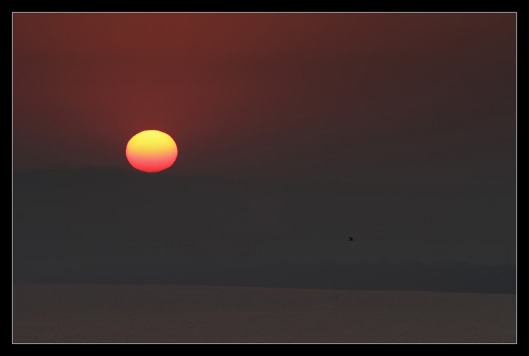 ir122221.jpg