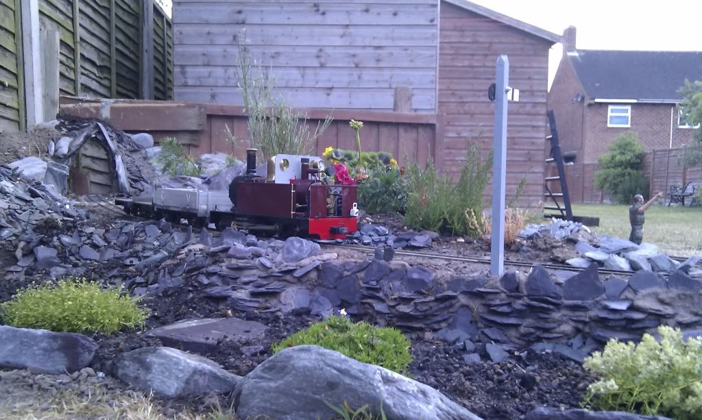 IMAG0953.jpg