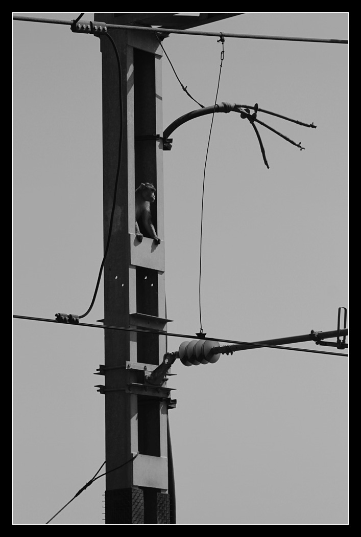 ir121640.jpg