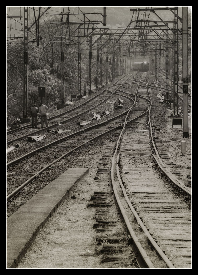 ir121633.jpg